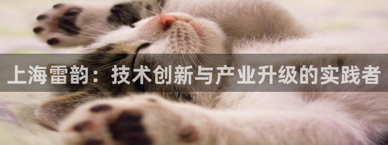 娱乐门徒 小说推荐：上海雷韵：技术创新与产业升级的实践者