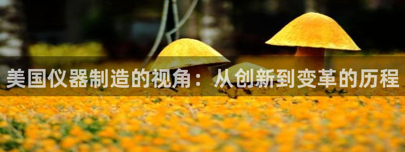 门徒娱乐处333OO：美国仪器制造的视角：从创新到变革的历程