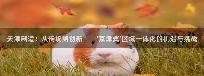 门徒娱乐足球：天津制造：从传统到创新——‘京津冀’区域一体化