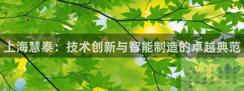 门徒娱乐天原把判官333OO：上海慧泰：技术创新与智能制造的