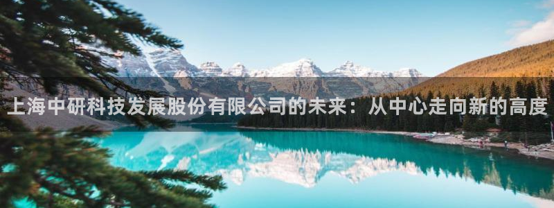 门徒娱乐老板是谁呀图片：上海中研科技发展股份有限公司的未来：