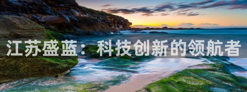 门徒娱乐找q22o32：江苏盛蓝：科技创新的领航者