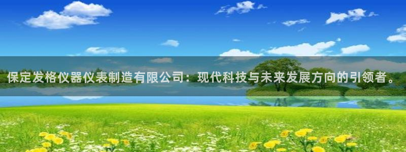 门徒娱乐注册团唐老鸭779O3：保定发格仪器仪表制造有限公司