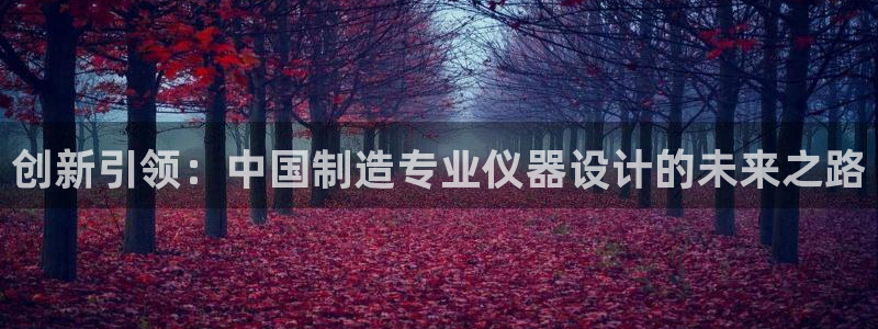 门徒娱乐品牌产品：创新引领：中国制造专业仪器设计的未来之路