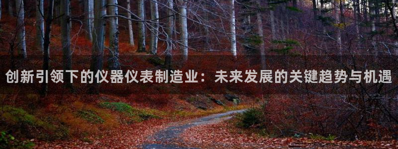 门徒娱乐几83343：创新引领下的仪器仪表制造业：未来发展的