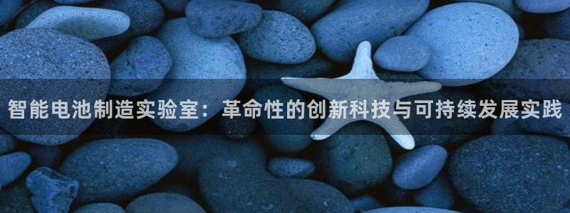 门徒娱乐下载手机版：智能电池制造实验室：革命性的创新科技与可