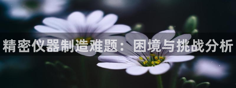 门徒娱乐充钱：精密仪器制造难题：困境与挑战分析