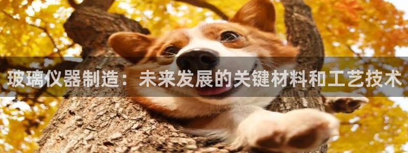 门徒娱乐联盟官网下载