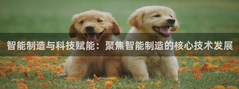门徒娱乐合作