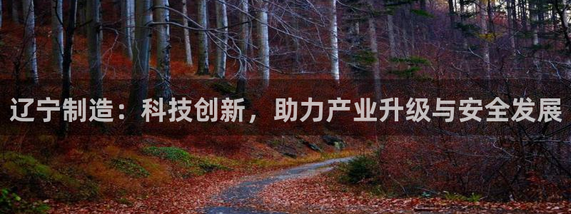 门徒娱乐老板是谁啊：辽宁制造：科技创新，助力产业升级与安全发