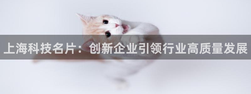 门徒娱乐官方网站地址：上海科技名片：创新企业引领行业高质量发