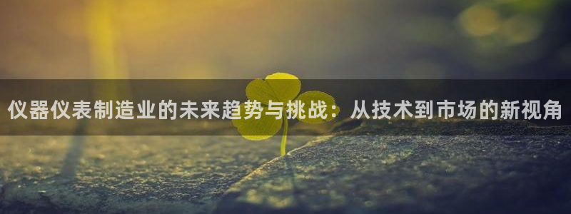 门徒娱乐盈利：仪器仪表制造业的未来趋势与挑战：从技术到市场的