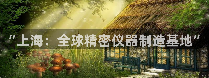 门徒娱乐项目介绍怎么写：“上海：全球精密仪器制造基地”