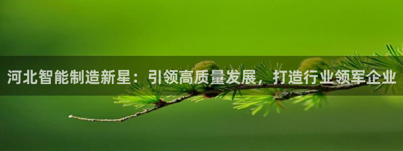类似娱乐门徒小说：河北智能制造新星：引领高质量发展，打造行业