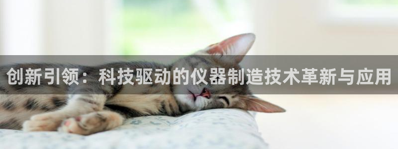 门徒娱乐老板怎么称呼的：创新引领：科技驱动的仪器制造技术革新