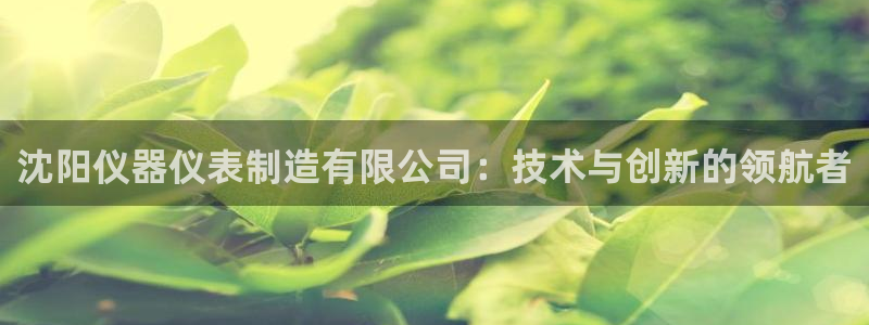 拉菲9门徒娱乐：沈阳仪器仪表制造有限公司：技术与创新的领航者