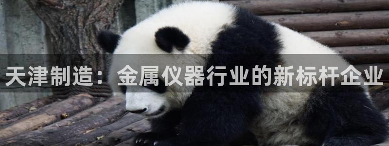 门徒娱乐会不会黑钱