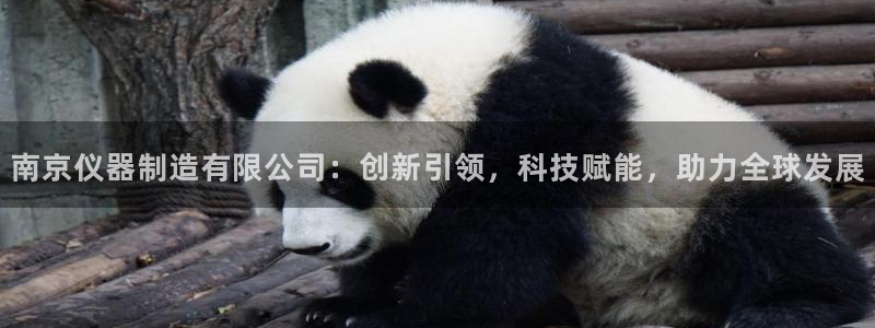 门徒娱乐怎么注册公司的：南京仪器制造有限公司：创新引领，科技