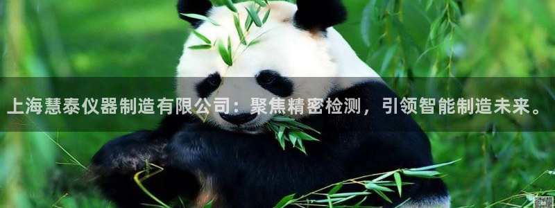 门徒娱乐注册可判官333OO：上海慧泰仪器制造有限公司：聚焦