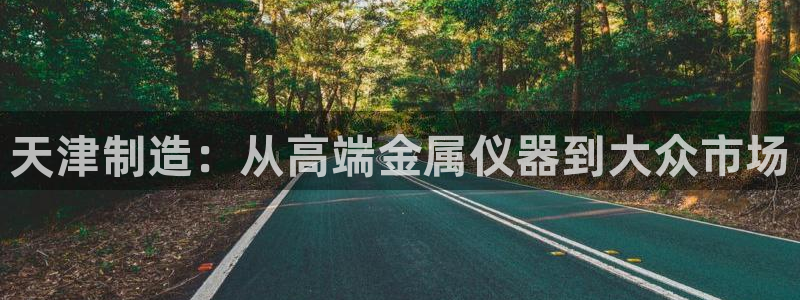 娱乐门徒电影票：天津制造：从高端金属仪器到大众市场