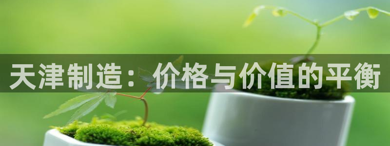门徒娱乐官方网址：天津制造：价格与价值的平衡
