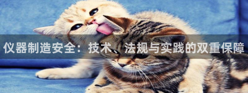 门徒娱乐怎么挂机的视频：仪器制造安全：技术、法规与实践的双重