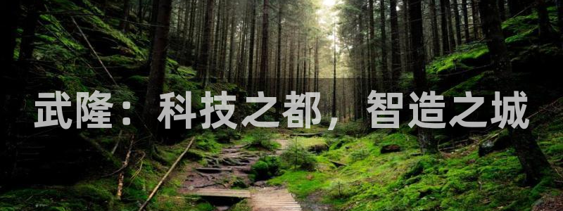 门徒娱乐官方地址上海：武隆：科技之都，智造之城