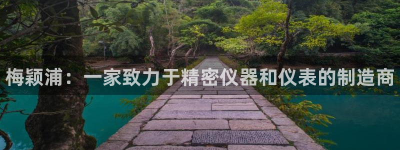 门徒娱乐平台可靠吗知乎：梅颖浦：一家致力于精密仪器和仪表的制