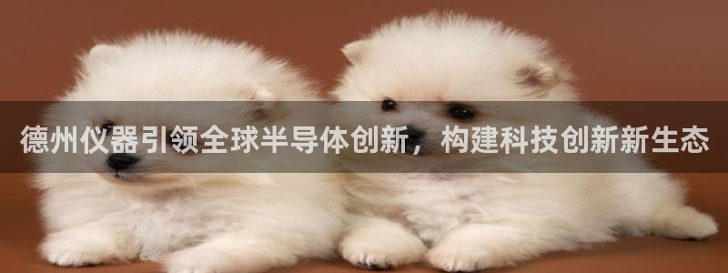 门徒娱乐京彩挂机下载