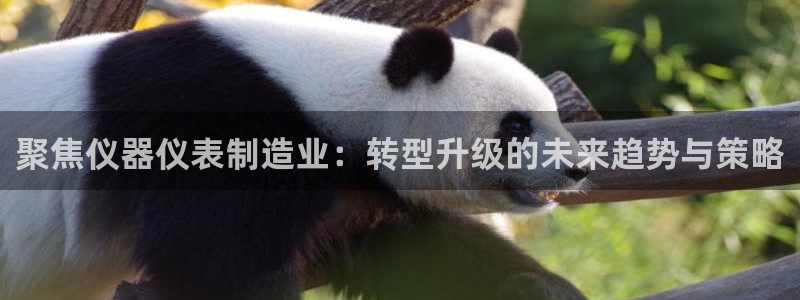 娱乐门徒完结了没有