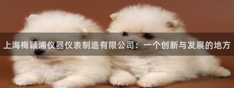 娱乐之门徒：上海梅颖浦仪器仪表制造有限公司：一个创新与发展的