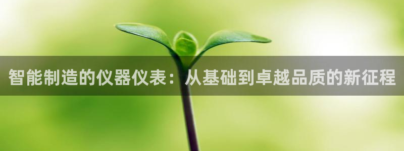 杭州天豪娱乐会所门徒：智能制造的仪器仪表：从基础到卓越品质的