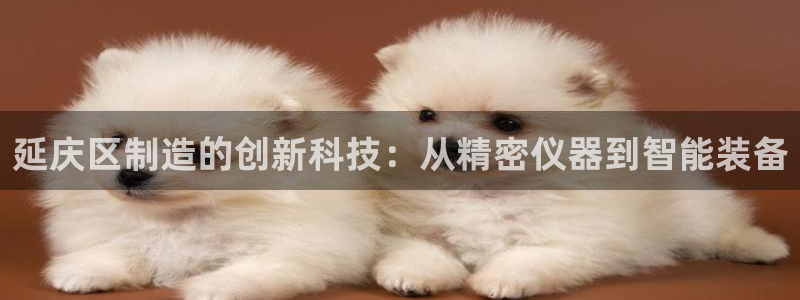 门徒娱乐代理待遇好吗：延庆区制造的创新科技：从精密仪器到智能