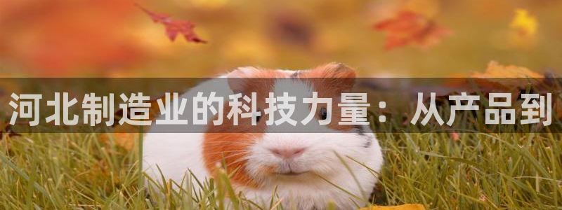 门徒娱乐注册地址在哪里：河北制造业的科技力量：从产品到