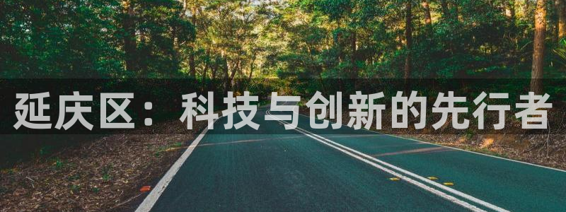 类似娱乐门徒小说：延庆区：科技与创新的先行者