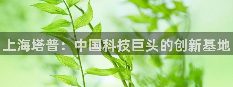 门徒娱乐挂机软件：上海塔普：中国科技巨头的创新基地
