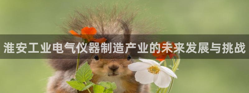 门徒娱乐线路图高清版：淮安工业电气仪器制造产业的未来发展与挑