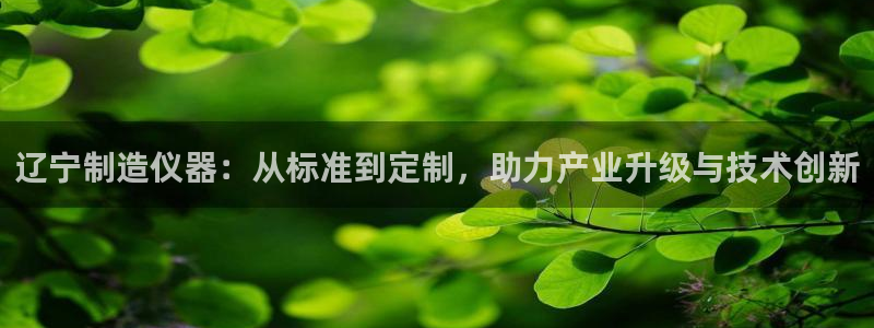 门徒娱乐在线链接观看：辽宁制造仪器：从标准到定制，助力产业升