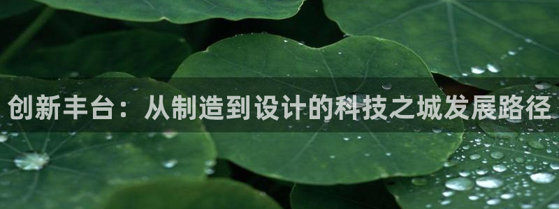 门徒娱乐招商之判官333OO：创新丰台：从制造到设计的科技之