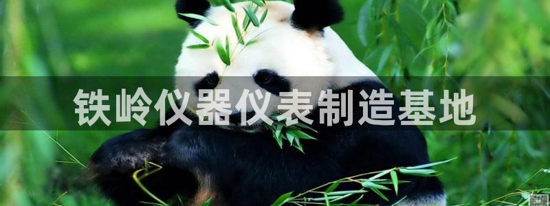 门徒娱乐平台安装教程：铁岭仪器仪表制造基地