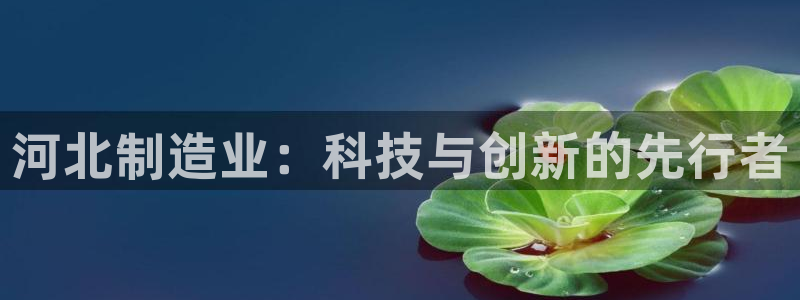 门徒娱乐平台代理商加盟：河北制造业：科技与创新的先行者