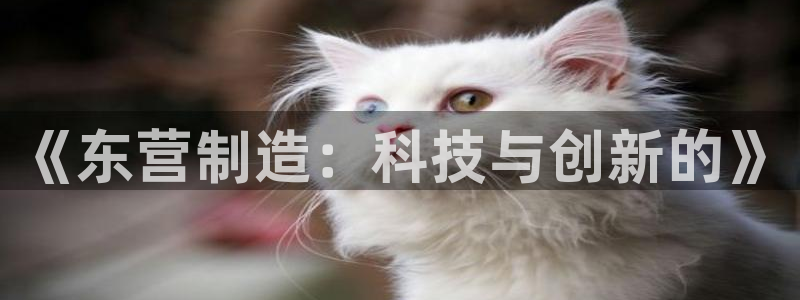 门徒娱乐彩票官网：《东营制造：科技与创新的》