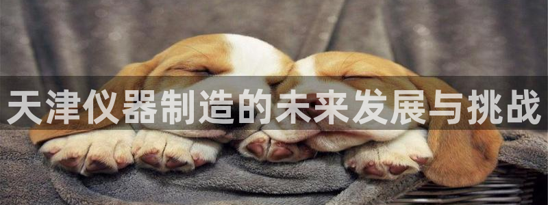 娱乐门徒重生香港：天津仪器制造的未来发展与挑战