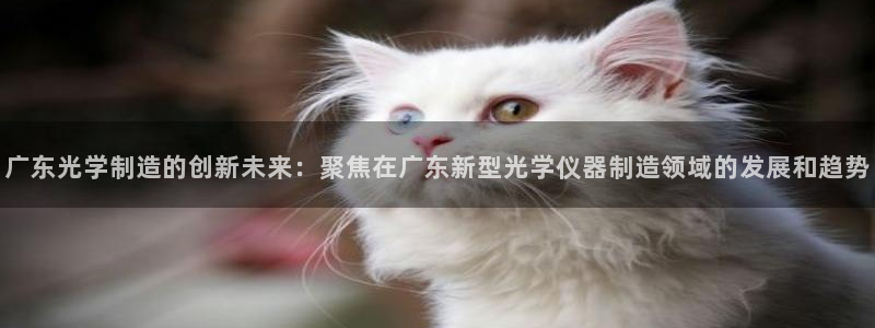 门徒娱乐会13判官3O678：广东光学制造的创新未来：聚焦在