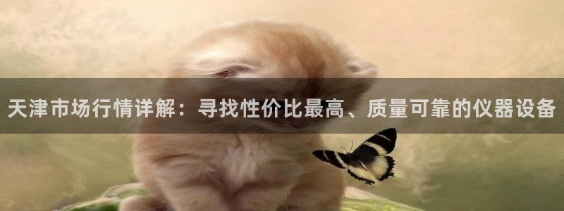 门徒娱乐代理怎么办：天津市场行情详解：寻找性价比最高、质量可