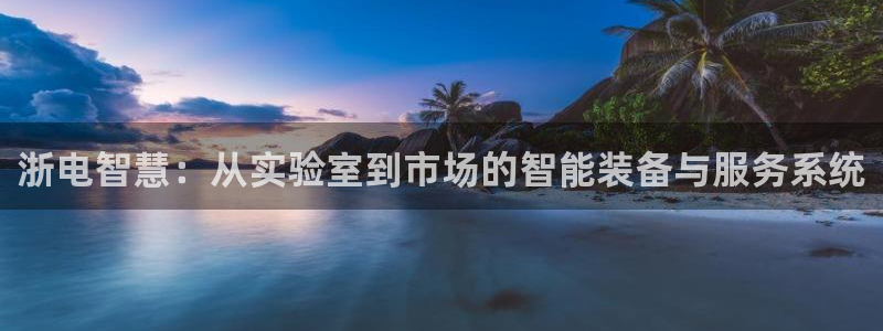 娱乐门徒123：浙电智慧：从实验室到市场的智能装备与服务系统