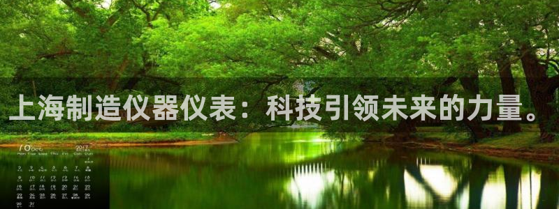 门徒娱乐是怎么赚钱的呀：上海制造仪器仪表：科技引领未来的力量