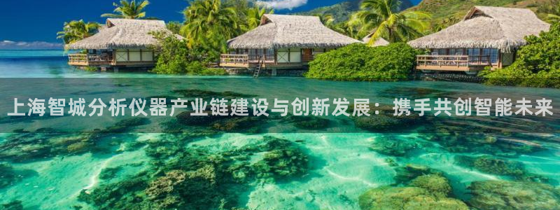 门徒娱乐上5指尖：上海智城分析仪器产业链建设与创新发展：携手