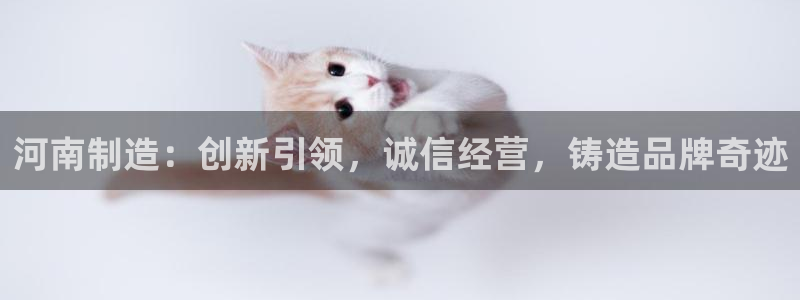 门徒娱乐公司介绍怎么写：河南制造：创新引领，诚信经营，铸造品