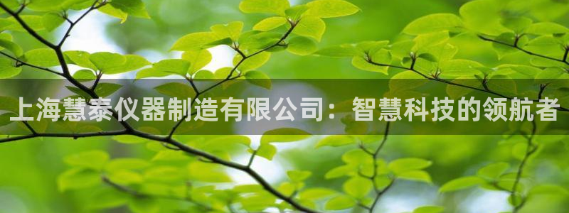 万国觉醒娱乐门徒攻略：上海慧泰仪器制造有限公司：智慧科技的领